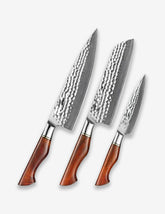 B30R 3pcs Knife Set, 73 layers Damascus steel with Powder Steel Having Nature Rosewood Handle